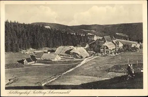 Ak Feldberg im Schwarzwald, Feldbergerhof