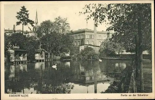 Ak Eberswalde im Kreis Barnim, Partie an der Schwärze