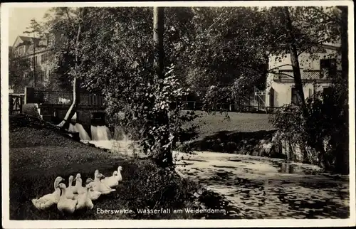 Ak Eberswalde im Kreis Barnim, Wasserfall am Weidendamm