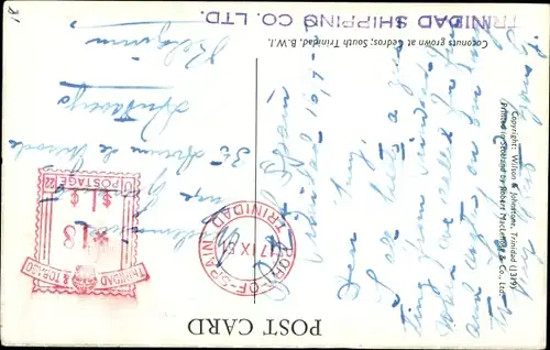 Ak Cedros Trinidad and Tobago, general view of Coconuts