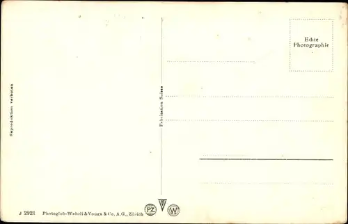 Ak Rheinfelden Kanton Aargau Schweiz, Totalansicht, Dampfer