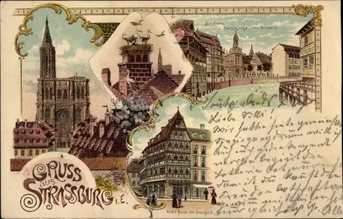Litho Strasbourg Straßburg Elsass Bas Rhin, Störche, altes Haus am Domplatz, Zionskirche