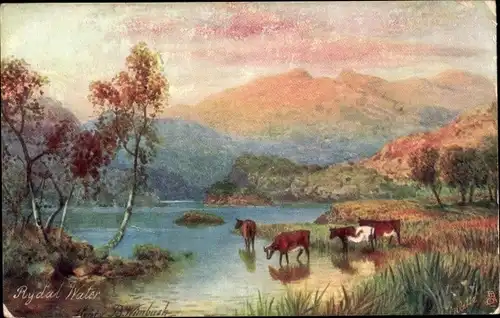 Künstler Ak Cumbria England, Rydal Water, Kuhe