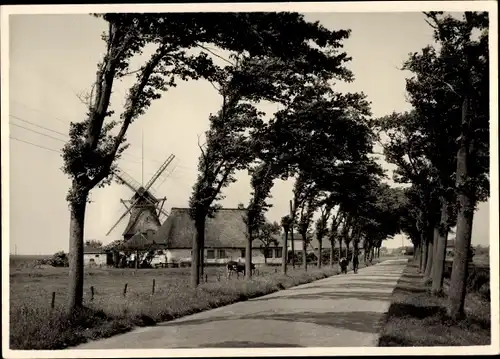 Ak Barsfleth Nordermeldorf in Dithmarschen, Straße in der Marsch, Windmühle