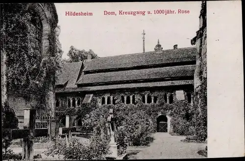 Relief Ak Hildesheim in Niedersachsen, Dom, Kreuzgang, 1000jährige Rose