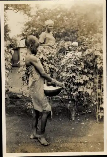 Foto Afrikanische Frauen bei der Ernte, Sträucher