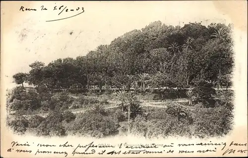 Ak Oran Algerien, La Promenade de l'Esang