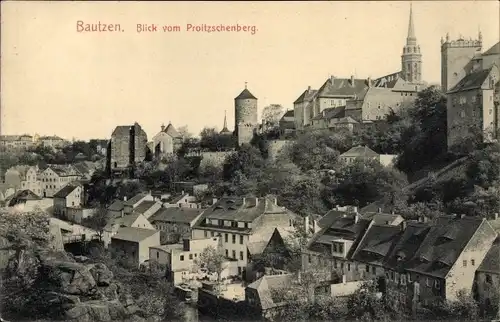 Ak Bautzen Sachsen, Blick vom Proitzschenberg, Dom St. Petri