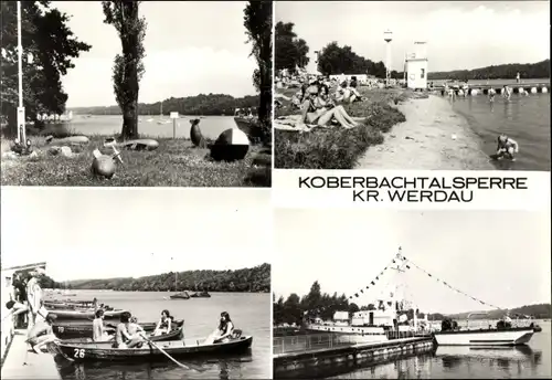Ak Langenhessen Werdau in Sachsen, Koberbachtalsperre, Ruderboote, Anleger, Schiff, Badegäste