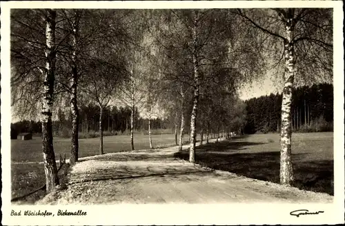 Ak Bad Wörishofen im Unterallgäu, Birkenallee