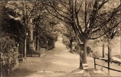 Ak Freiburg im Breisgau, Schlossberg