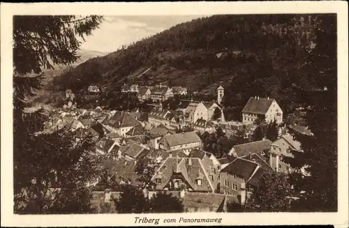 Ak Triberg im Schwarzwald, Blick vom Panoramaweg