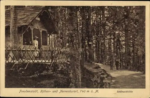 Ak Freudenstadt im Nordschwarzwald, Schöneckhütte