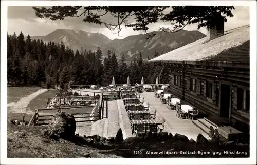 Ak Rottach Egern Oberbayern, Kaffee Alpenwildpark, Terrasse, Landschaftsblick