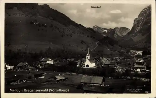 Ak Mellau in Vorarlberg, Panorama