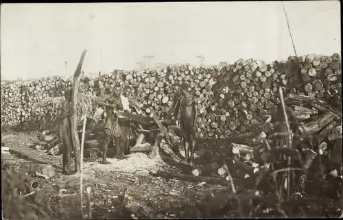 Foto Ak Afrikaner zersägen einen Baumstamm