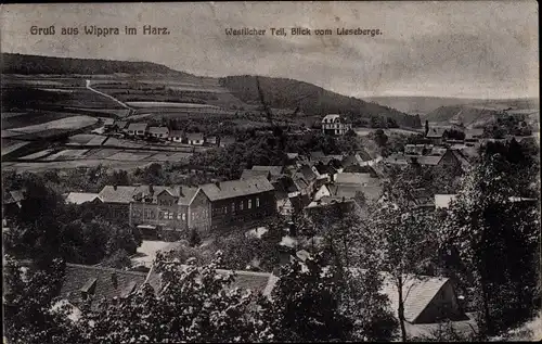 Ak Wippra Sangerhausen am Harz, Blick vom Lieseberge