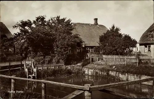 Ak Hallig Hooge in Nordfriesland, Dorfpartie, Reetdachhäuser