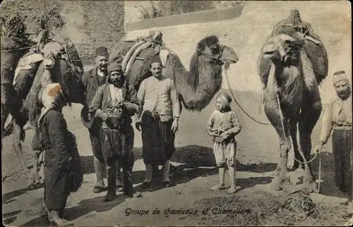Ak Groupe de chameaux et chameliers, Maghreb, Kamele