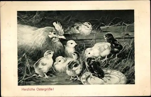 Ak Glückwunsch Ostern, Henne und Küken