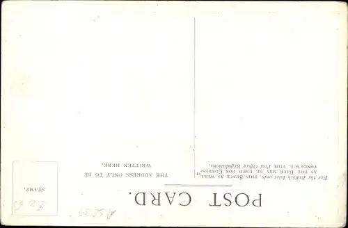 Ak Felis Leo, Löwe, Tierportrait