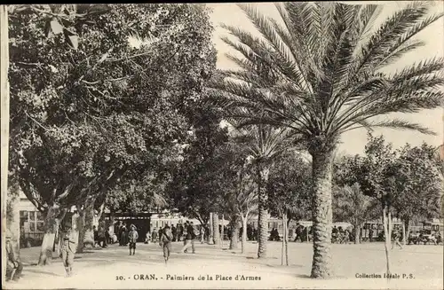 Ak Oran Algerien, Palmiers de la Place d'Armes