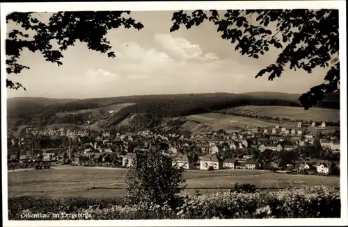 Ak Olbernhau im Erzgebirge, Panorama