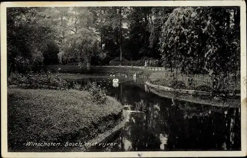 Ak Winschoten Groningen Niederlande, Bosch met vijver