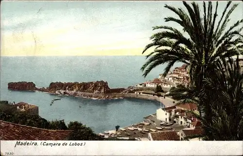 Ak Câmara de Lobos Insel Madeira Portugal, Bucht