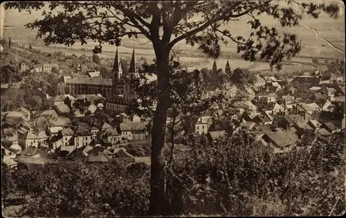 Ak Echternach Luxemburg, Panorama, Vue prise du Trooskneppchen