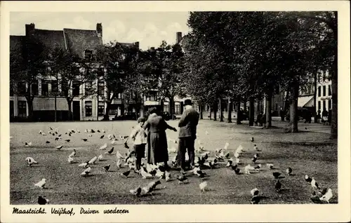 Ak Maastricht Limburg Niederlande, Vrijthof, Duiven voederen