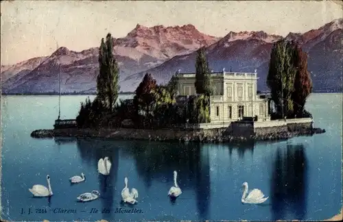 Ak Clarens Montreux Kanton Waadt, Ile des Mouettes, Schwäne