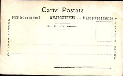 Ak Vevey Kanton Waadt, Gesamtansicht