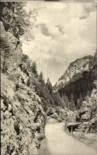 Ak Hohe Tatra Polen, Dolina Koscieliska