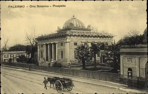 Ak Palermo Sizilien Sicilia Italien, Orto Botanico, Prospetto