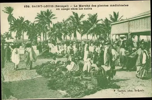 Ak Saint Louis Senegal, Le Marche des plantes medicinales en usage chez les noirs