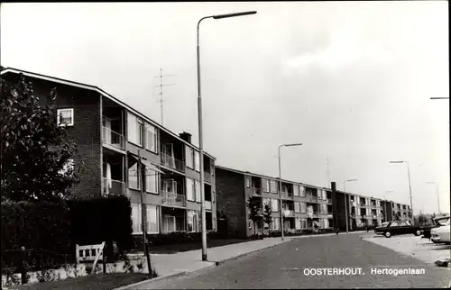 Ak Oosterhout Nordbrabant Niederlande, Hertogenlaan
