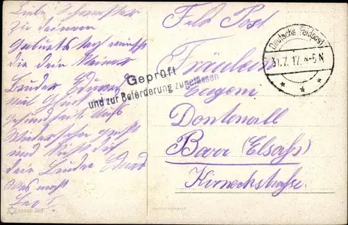 Künstler Ak Schönian, Alfred, Pfauenpaar, Pfau und Pfauenhenne