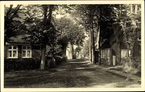 Foto Ak Wyk auf Föhr Nordfriesland, Straßenpartie, Häuser