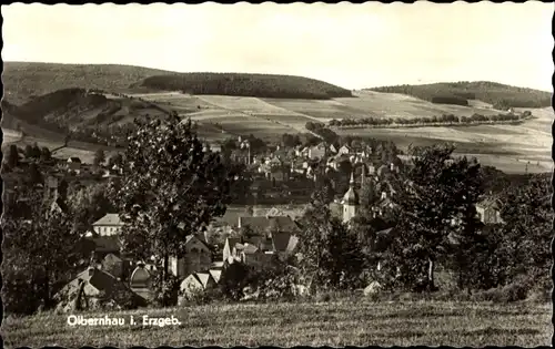 Ak Olbernhau im Erzgebirge, Panorama