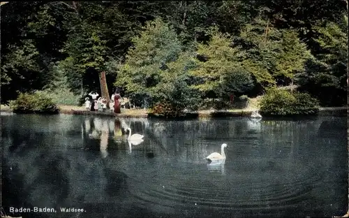 Ak Baden Baden am Schwarzwald, Waldsee, Schwäne