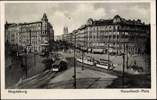 Ak Magdeburg, Hasselbach Platz, Straßenbahnen