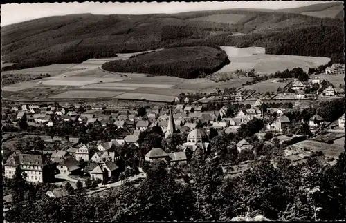Ak Balve im Sauerland, Ortspanorama, Wald