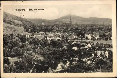 Ak Freiburg im Breisgau, Blick vom Hebesack, Ortspanorama