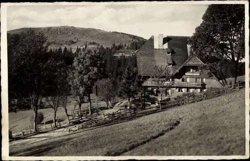 Ak Rinken Feldberg im Schwarzwald, Gasthaus und Pension Jägerheim