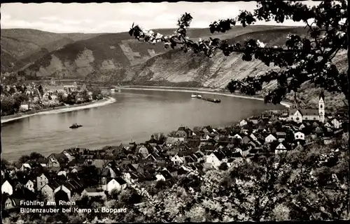 Ak Kamp Bornhofen am Rhein, Frühling, Blütenzauber, Boppard, Schiff