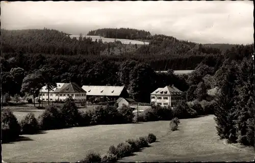 Ak Peugenhammer Pleystein in der Oberpfalz Bayern, Hotel Zottbachhaus, Wald