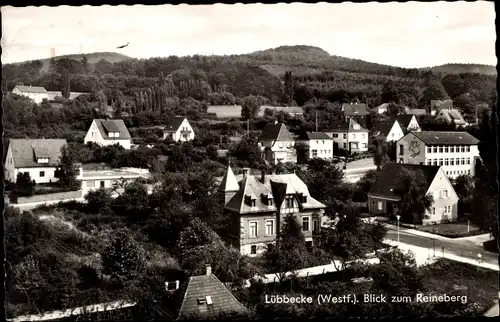 Ak Lübbecke in Westfalen, Blick zum Reineberg, Ortspartie