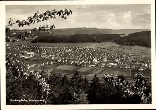 Ak Blumberg Baden Schwarzwald, Blick vom Eichberg auf die Stadt