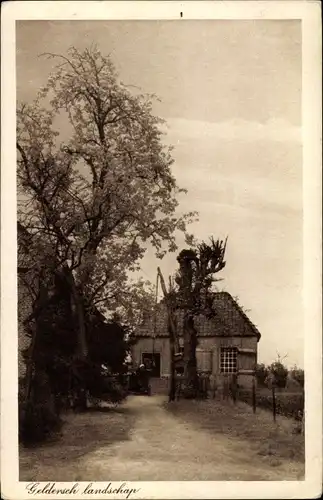 Ak Gelderland Niederlande, Geldersch landschap